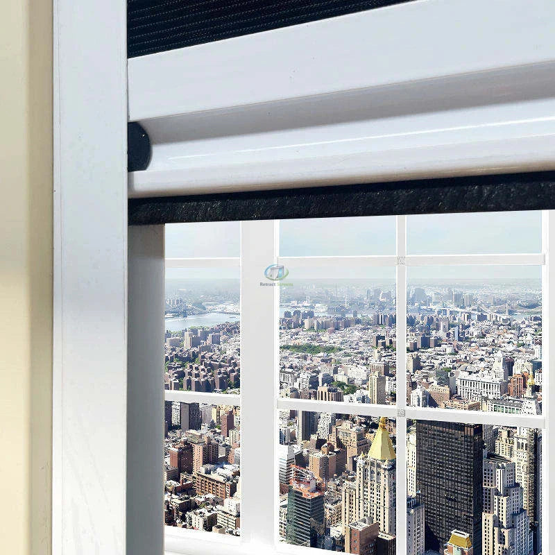 Pull Down Pleated Inscet Screen for Window